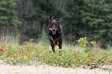 BEAUCERON 421